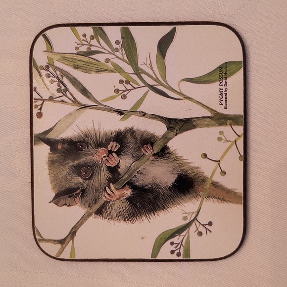 Australia Animal Coaster Set - Picture 6 of 16